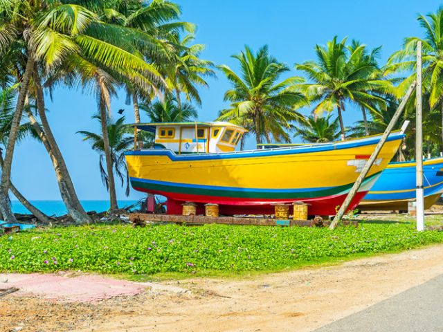 Elegant Sri Lanka Turu Air Arabia Hava Yolları İle 5 Gece (Ekstra Turlar Dahil) (CMB-CMB)