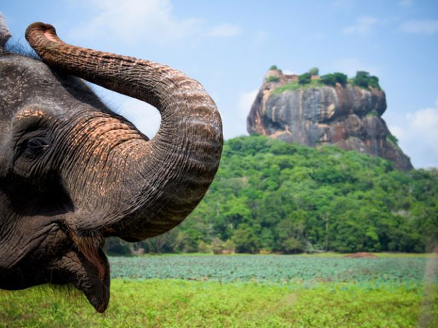 Elegant Sri Lanka Turu Air Arabia Hava Yolları İle 5 Gece (Ekstra Turlar Dahil) (CMB-CMB)