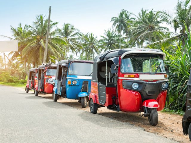 Elegant Sri Lanka Turu Air Arabia Hava Yolları İle 5 Gece (Ekstra Turlar Dahil) (CMB-CMB)