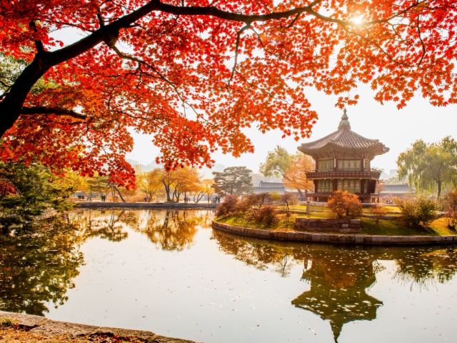 Kurban Bayramı Özel Elegant Japonya & Güney Kore Turu Türk Hava Yolları İle 10 Gece (Ekstra Turlar Dahil) (ICN-NRT)