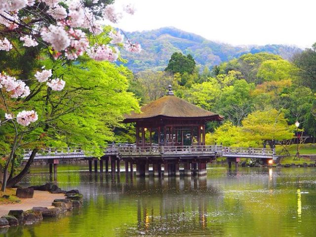 Elegant Japonya & Güney Kore Turu Türk Hava Yolları İle 9 Gece (Ekstra Turlar Dahil) (ICN-NRT)