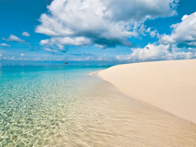 Elegant Kenya & Tanzanya Büyük Göç Turu Türk Hava Yolları İle 9 Gece (Ekstra Turlar Dahil) (NBO-ZNZ)