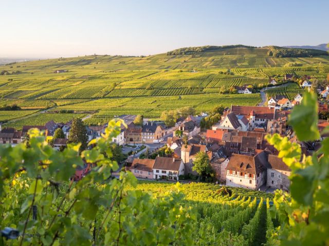 Trabzon Çıkışlı Maxi Benelüx & Paris & Alsace Turu SunExpress Hava Yolları İle 7 Gece