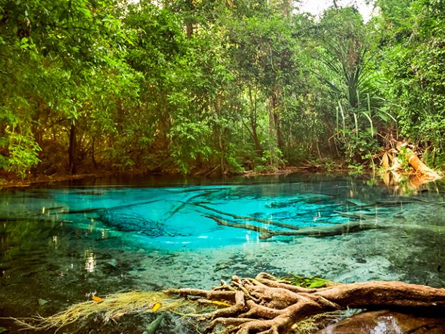 Vizesiz Phuket Turu Türk Hava Yolları İle 5 Gece (HKT- HKT) (Özel Promosyon)