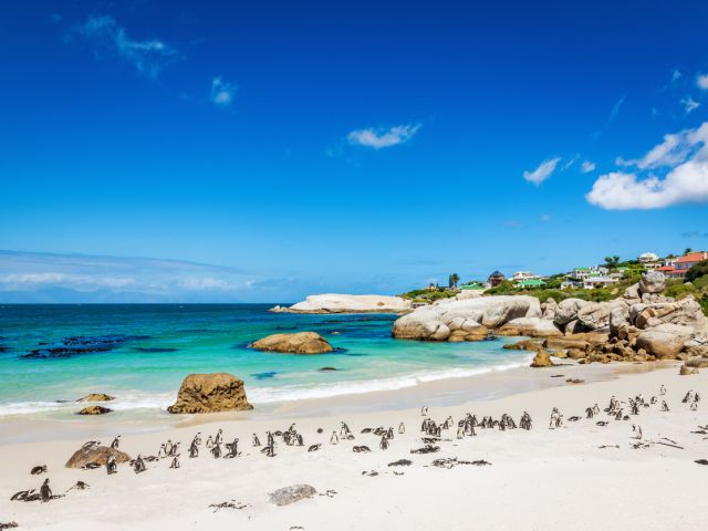 Vizesiz Flex Güney Afrika Turu Türk Hava Yolları İle 7 Gece (CPT - JNB)