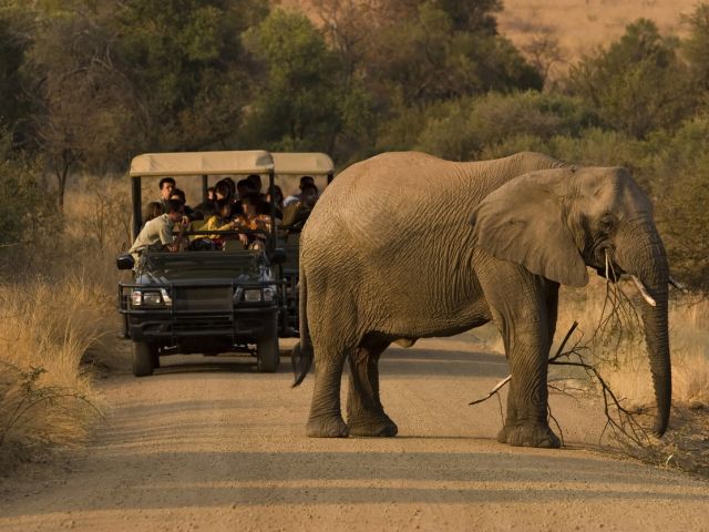 Vizesiz Flex Güney Afrika Turu Türk Hava Yolları İle 7 Gece (CPT - JNB)