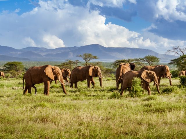 Vizesiz Flex Güney Afrika Turu Türk Hava Yolları İle 7 Gece (CPT - JNB)
