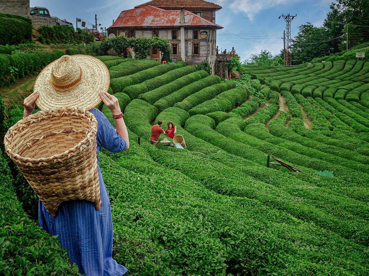 İkonik Karadeniz Yaylalar ve Batum Turu 3 Gece Konaklamalı (İstanbul Çıkışlı)